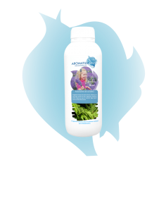 Aroma Fougére de Cedro · AromatizaMe 2