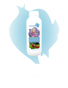 Fougére de Vetiver 2