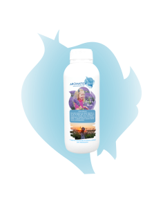 Aroma Vida Bella · Vainilla, haba tonka, praliné y pachuli 2