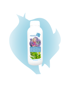 Fleur Givree, fragancia natural de flores · AromatizaMe 2
