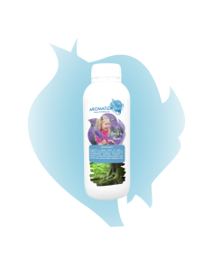 Aroma Memories| AromatizaMe 2