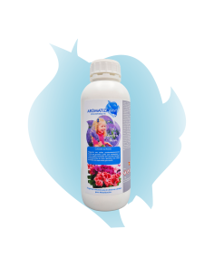 Cassis & Rose| AromatizaMe 2