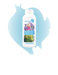 Mandarina Gourmand 2