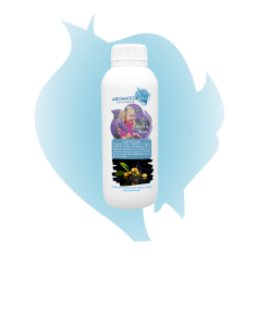 Portofino, fragancia natural  · AromatizaMe 2