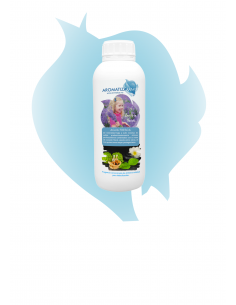 Agua Fresca 2