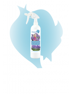 Lavanda Francesa 2