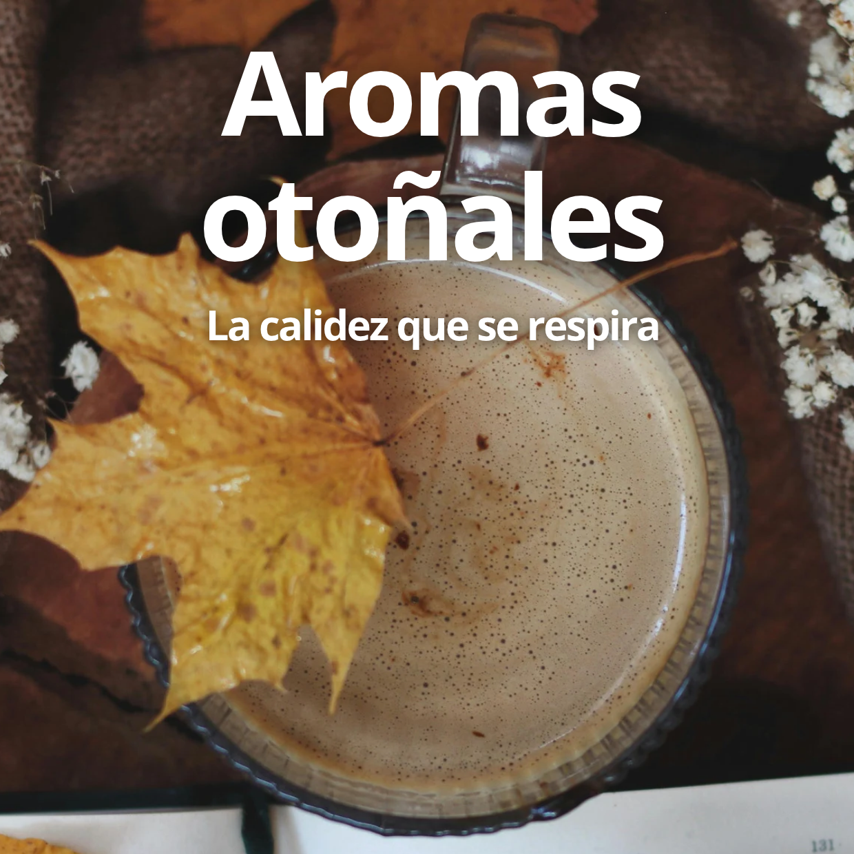 aromas de oto&ntilde;o