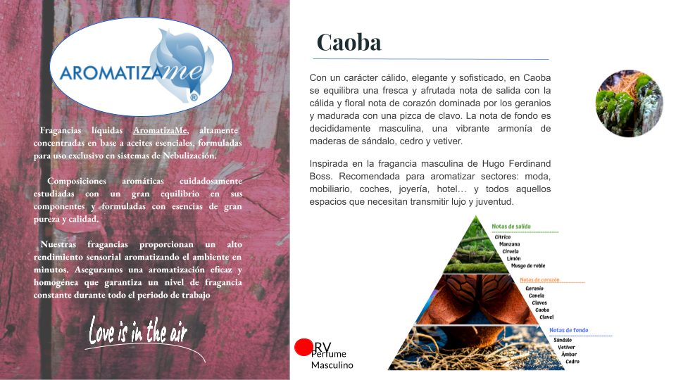 CAOBA- Fichas Aromas Naturales AromatizaMe (2).png